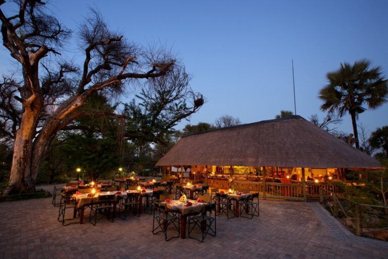 The lit thatched restaurant, bar and deck under mokolwane palms at Nata Lodge, Botswana, at dusk