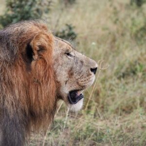 Operator photograph supplied for mokoro camping trips in the Okavango Delta, Botswana — photograph 3