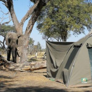 Operator photograph supplied for 2 Day Wilderness Trail: Okavango Delta and Moremi - Camping Safari, Maun, Botswana