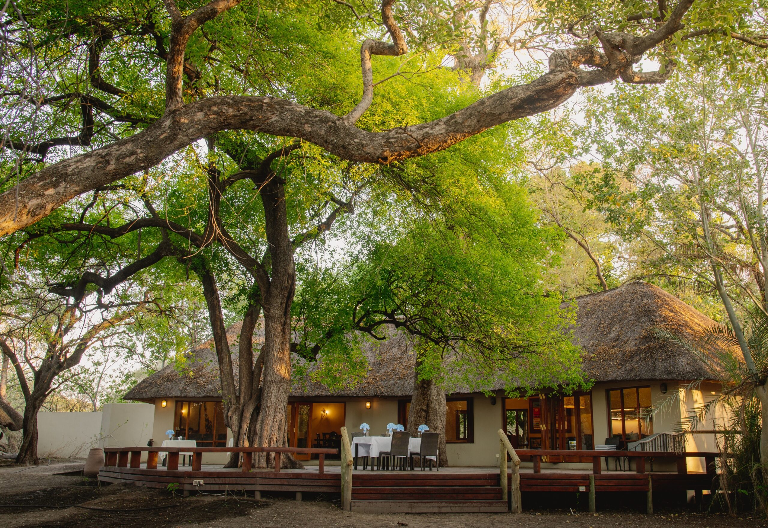 Thatched buildings lit at dusk under trees at Thamo Telele