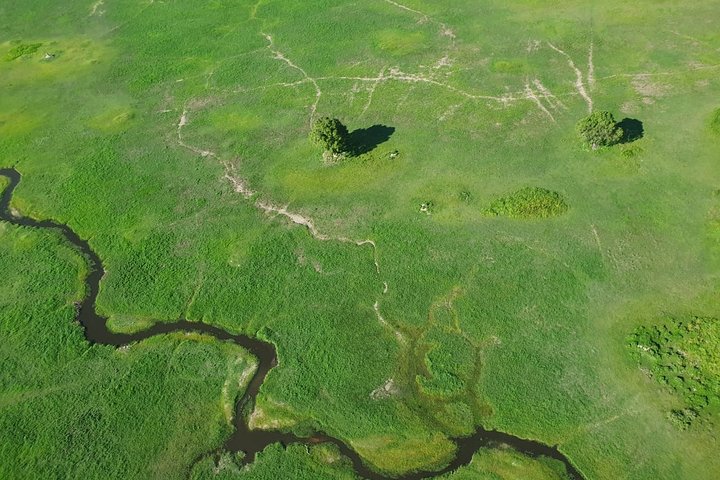 Safari in campeggio di 3 giorni a Moremi