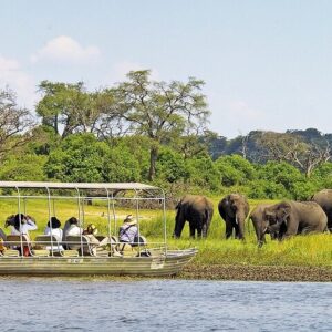 Operator photograph supplied for 3-Hour Chobe River Boat Cruise Safari in Chobe National Park, Kasane, Botswana