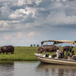 Operator photograph supplied for 3 Hours Chobe Boat Cruise, Botswana, Kasane, Botswana