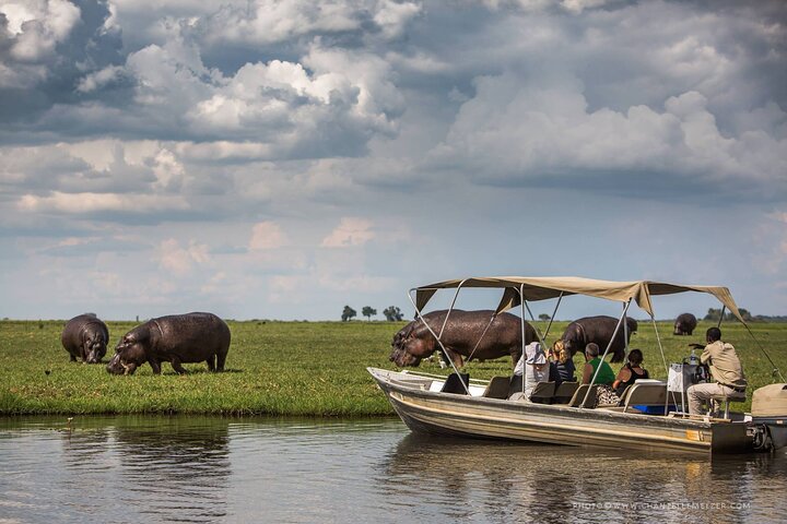 3 Hours Chobe Boat Cruise, Botswana