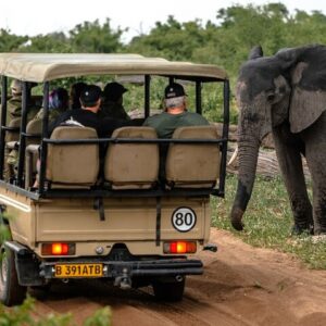 Operator photograph supplied for 3 Hours Chobe Game Drive Safari, Botswana, Kasane, Botswana