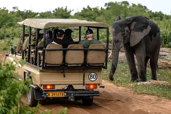 Operator photograph supplied for 3 Hours Chobe Game Drive Safari, Botswana, Kasane, Botswana