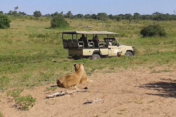 Operator photograph supplied for 3 Hours Chobe Game Drive Safari, Botswana, Kasane, Botswana