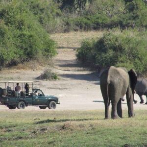 Operator photograph supplied for 3 Hours Chobe Safari Game Drive, Kasane, Botswana