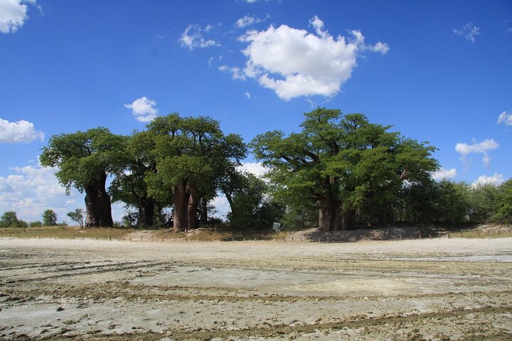 Operator photograph supplied for 4 Day All Inclusive Tour to Boteti, Delta and Pans, Maun, Botswana