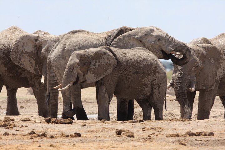 Operator photograph supplied for 4 Day All Inclusive Tour to Boteti, Delta and Pans, Maun, Botswana