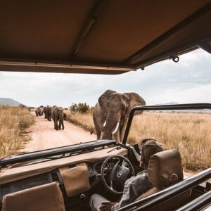 Operator photograph supplied for 4-Day Splendors Of Moremi and Khwai Safari, Maun, Botswana