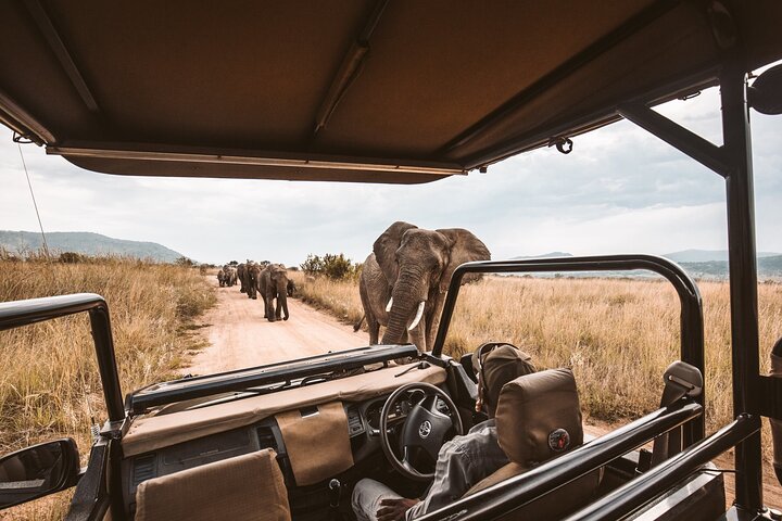 4-Day Splendors Of Moremi and Khwai Safari