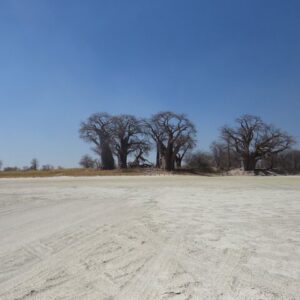 Operator photograph supplied for 6 Day Desert and The Pan Explorer Safari in Botswana, Maun, Botswana