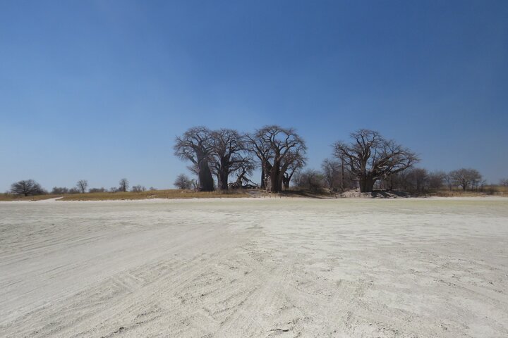 6 Day Desert and The Pan Explorer Safari in Botswana