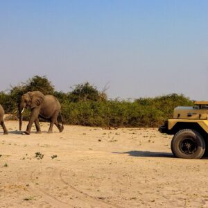 6hrs Game Drive in Chobe National Park (Leon Safaris Gold)