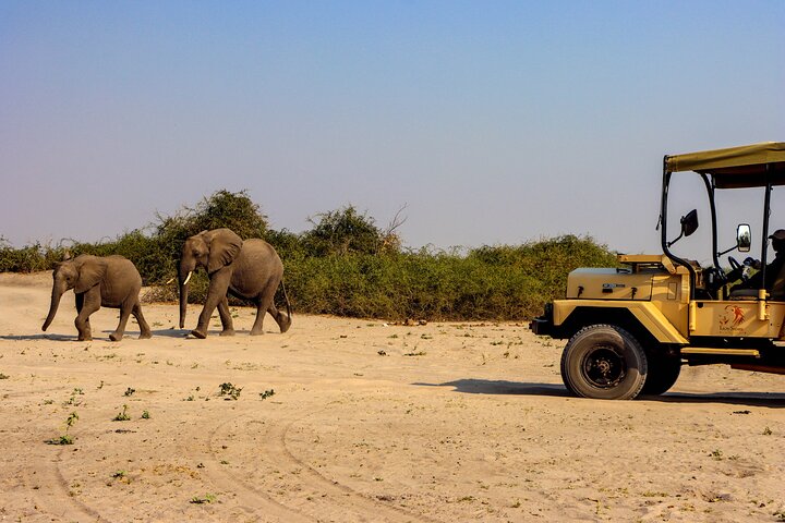 6hrs Game Drive in Chobe National Park (Leon Safaris Gold)