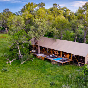 A canvas tent on a raised deck with its own plunge pool among leadwood trees at Tuludi, Khwai Private Reserve, Botswana