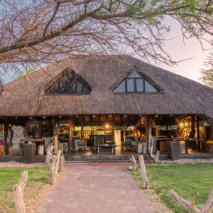 The open thatched main lodge and lawn under camelthorn trees at Grassland Safari Lodge in the Kalahari, Ghanzi district, Botswana