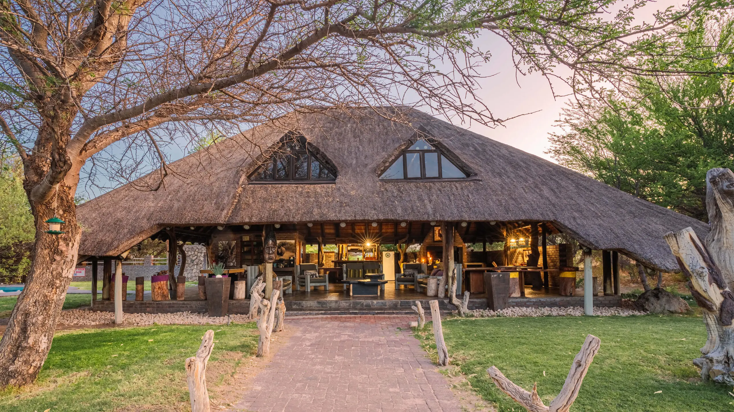 The open thatched main lodge and lawn under camelthorn trees at Grassland Safari Lodge in the Kalahari, Ghanzi district, Botswana