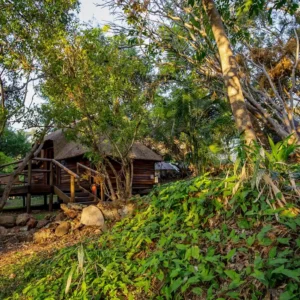 Thatched chalets among riverine trees at Kubu Lodge, Kasane