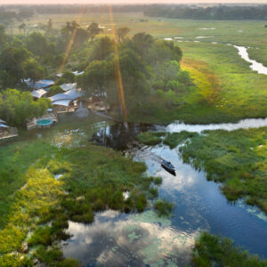 Khwai Leadwood — Khwai River frontage under leadwood canopy, Khwai Community Concession