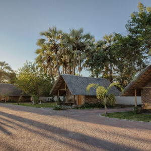 Thatched garden chalets and palms at Maun Lodge in the early morning light, Maun, Botswana