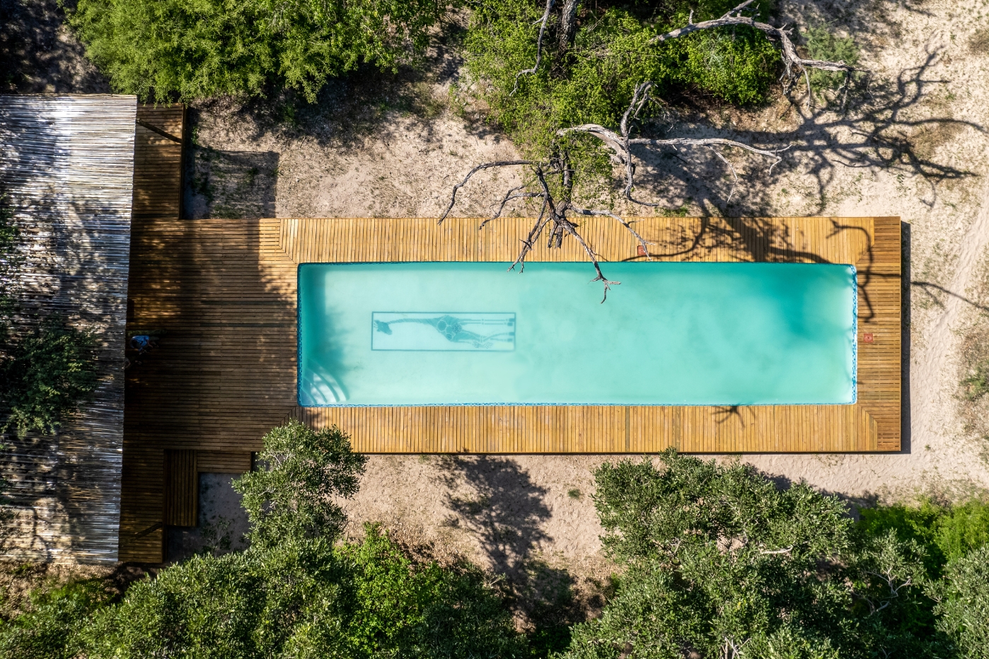 Swimming pool and timber deck at Thamo Telele, Maun