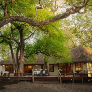 Thatched tents and shaded deck under mature trees at Thamo Telele, Maun