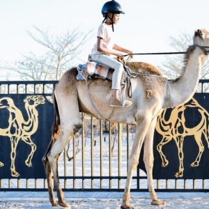 Operator photograph supplied for Botswana Camel Safari Experience, Maun, Botswana