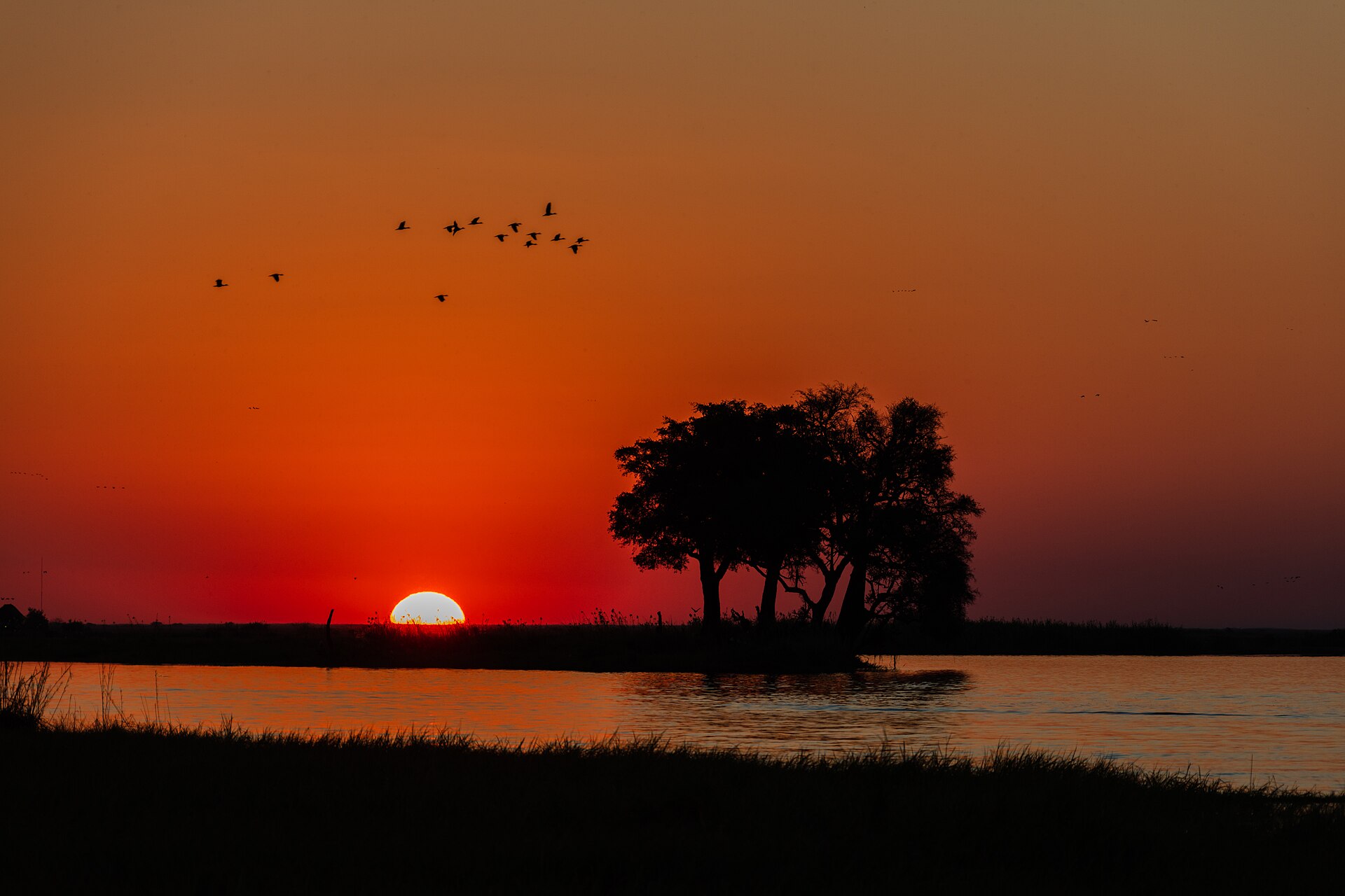 Chobe and Kasane Tours
