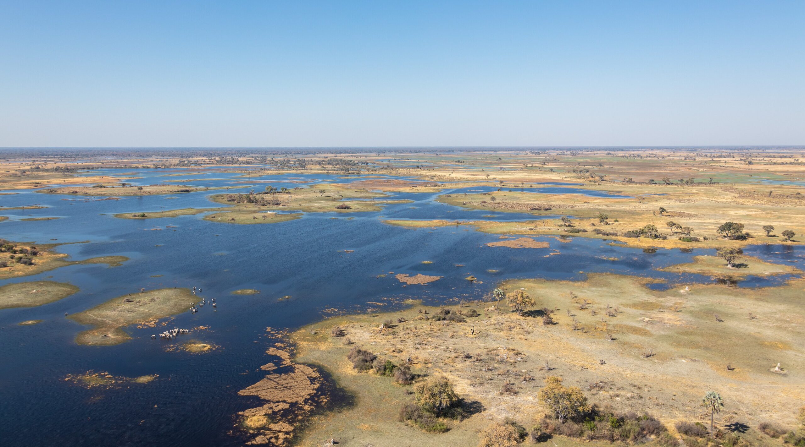 Mokoro Experiences in the Okavango