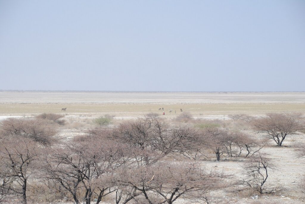 The edge of the Makgadikgadi pans, the park Kumaga Campsites sits inside