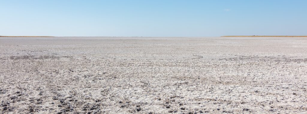 Salt-pan surface in Makgadikgadi Pans National Park, Botswana