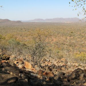 Boulders and thorn scrub on a rocky slope in Mokolodi Nature Reserve, south of Gaborone