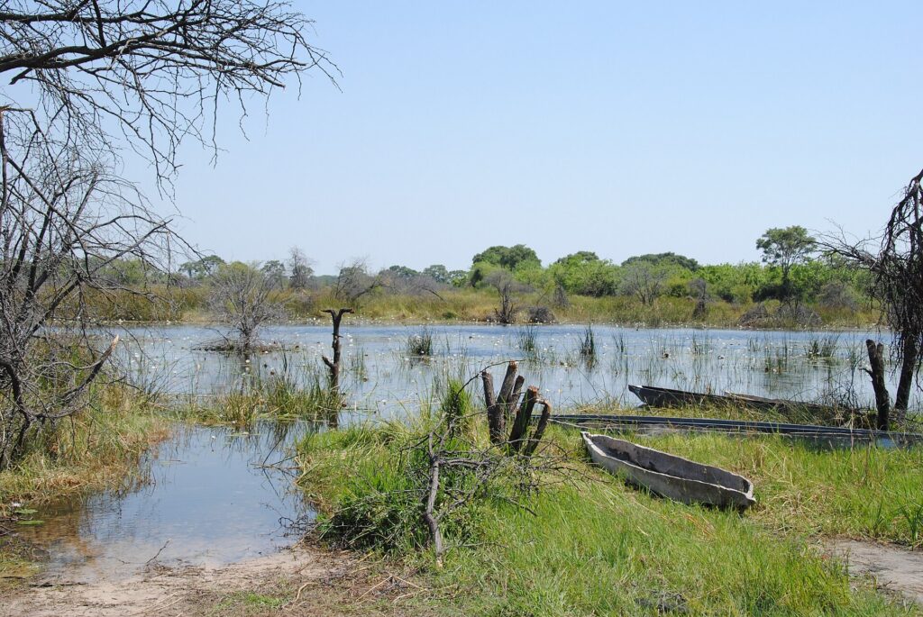 Mokoro dugouts on a channel in the Okavango Delta, the water Camp Okavango sits in
