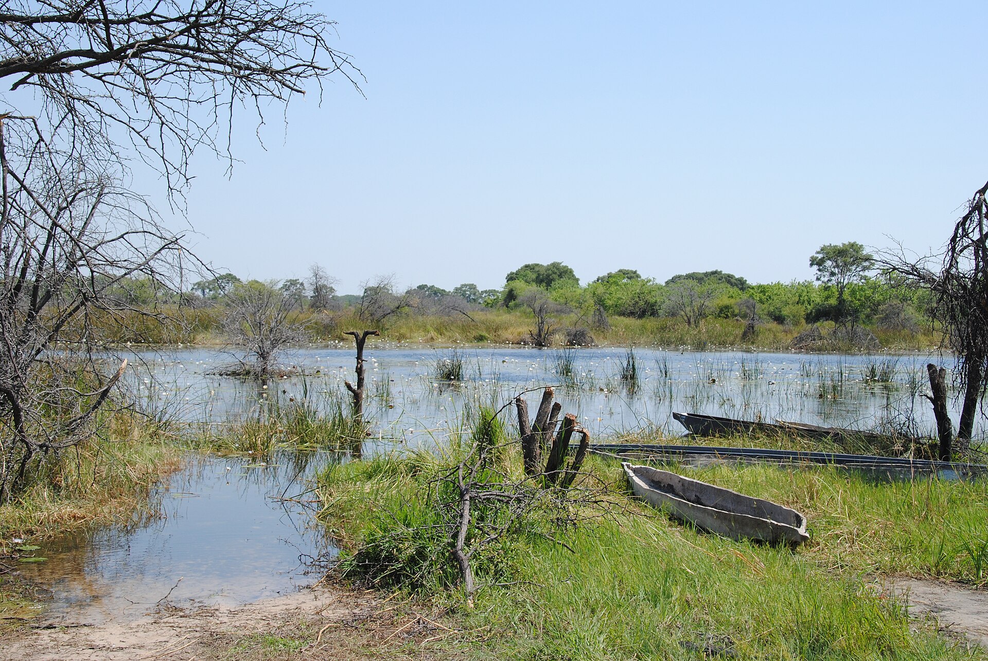 Maun and Okavango Tours