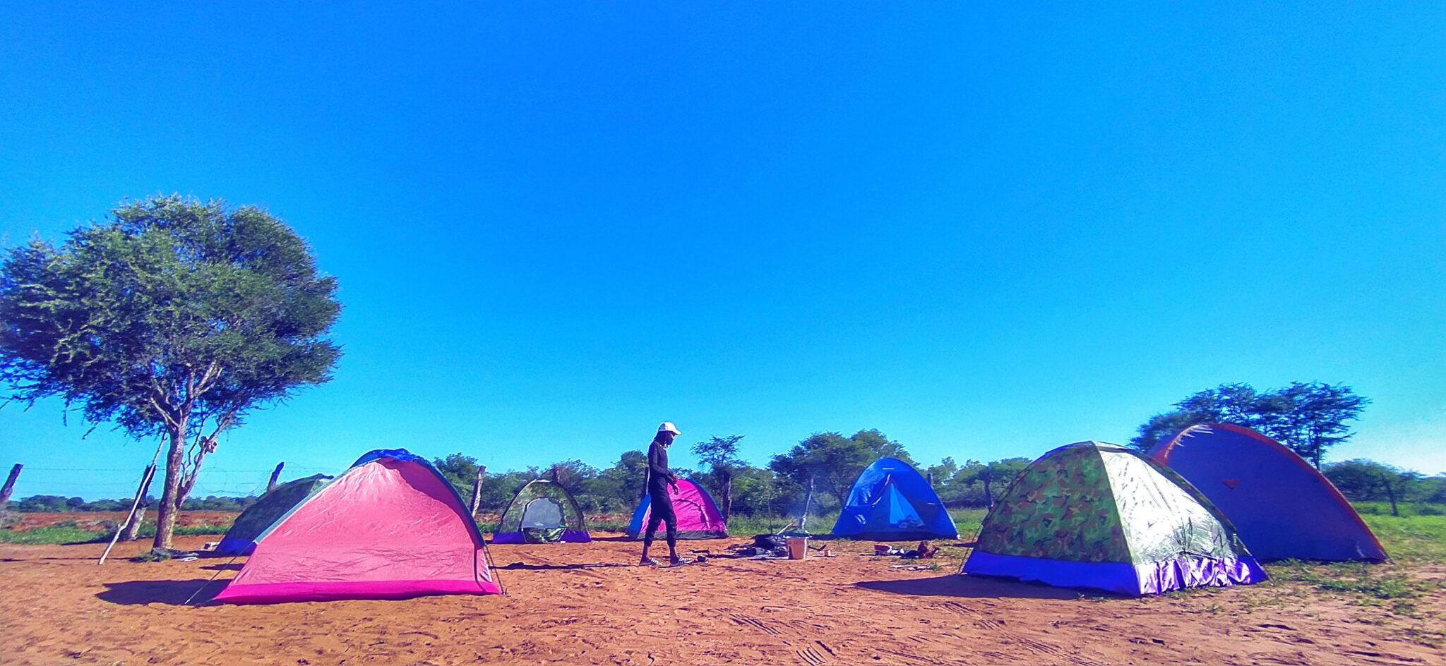 Tents pitched on red sand among thorn trees at a cattle post near Serowe, Botswana