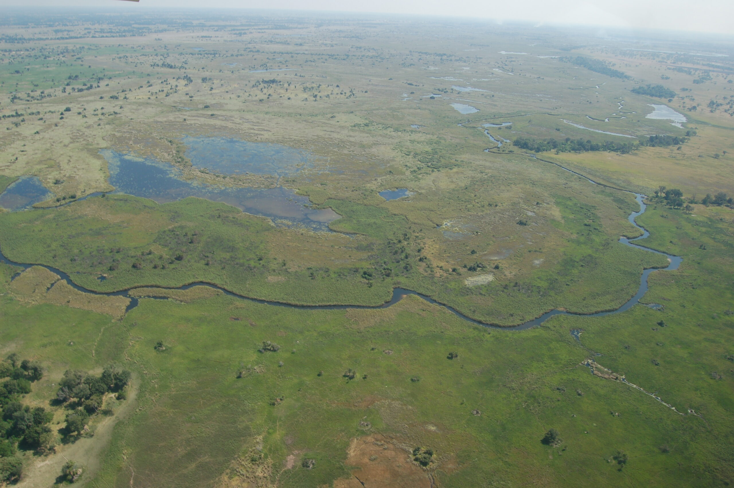 Aerial view of floodplain, channels and islands in the Okavango Delta, Botswana