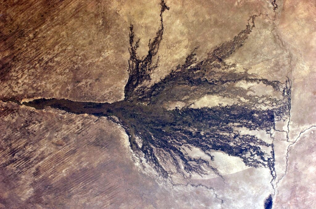 The Okavango Delta photographed from the International Space Station, showing the fan of channels and floodplain