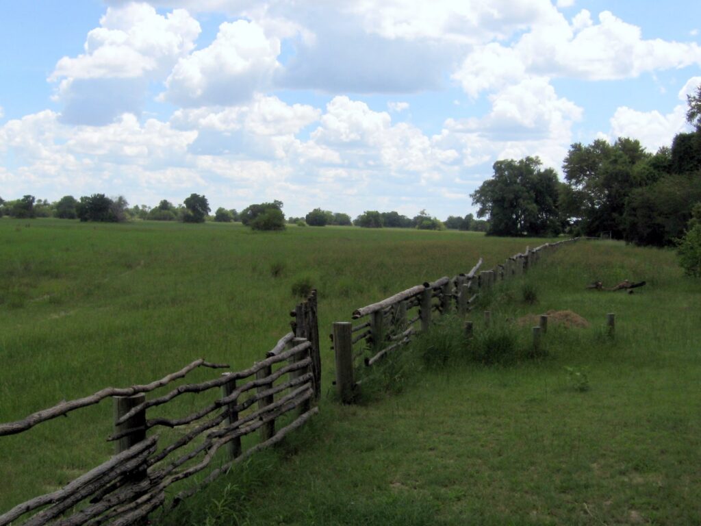 Grassland and a wooden fence at Mboroba, in the Okavango Polers Trust community area, Botswana