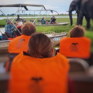 chobe 3hr sunset boat cruise