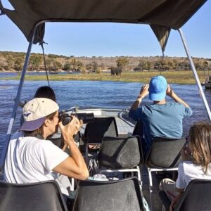 Private boat cruise, Chobe River
