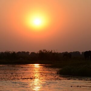 Chobe River Majestic Wildlife Cruise With Exclusive Boat Safari