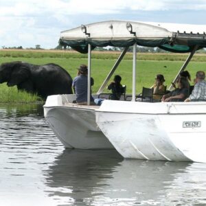 Operator photograph supplied for Chobe River Morning Game Cruise, Kasane, Botswana