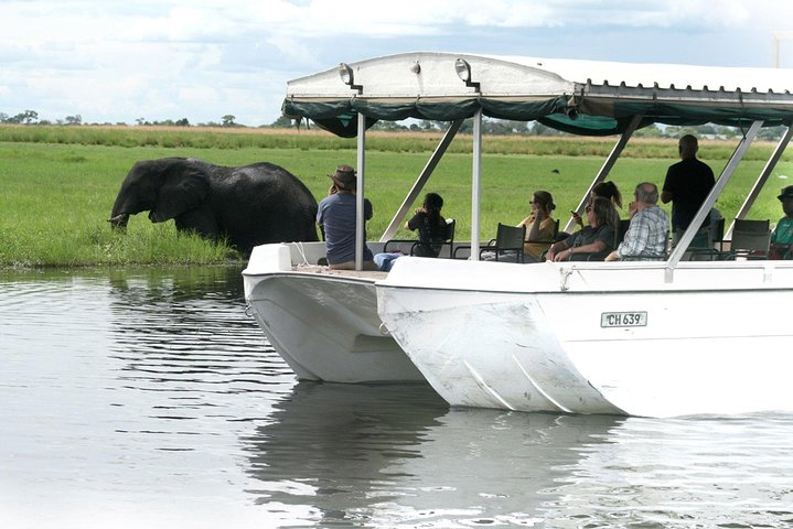 Operator photograph supplied for Chobe River Morning Game Cruise, Kasane, Botswana