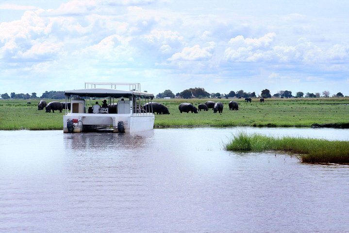 Operator photograph supplied for Chobe River Morning Game Cruise, Kasane, Botswana