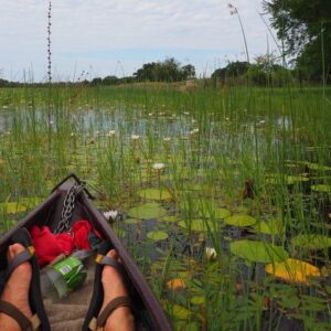 Operator photograph supplied for Guided Mokoro Tours in the Maun Educational Park, Maun, Botswana