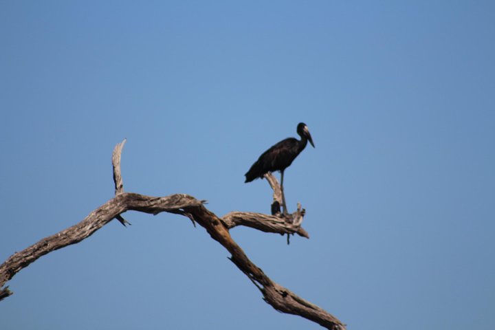 Operator photograph supplied for Meerkats 4 Nights 5 days Stargazing at Makgadikgadi Pans National, Maun, Botswana — photograph 2