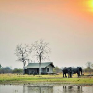Nogatsaa Pans Chobe Lodge — Kwikamba Pan, remote southern Chobe National Park