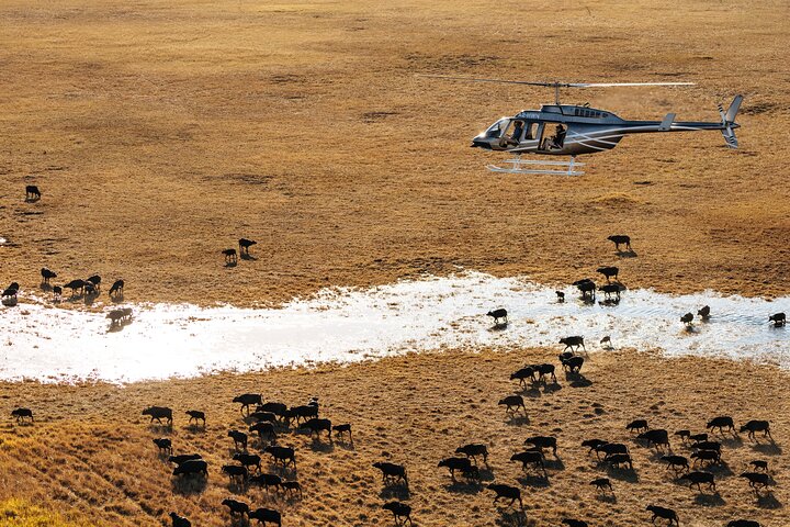 Okavango Delta 45-Minute Helicopter Tour with Champagne Stop